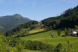 Breitau-0212-2025-06-18.jpg