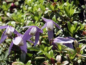 Duisitzkar 15149 2002-06-30.jpg