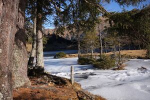 Duisitzkarsee 14359 2011-11-30.jpg