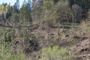 Föhnsturm Haus-0259-2024-04-06.jpg