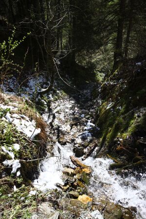 Feisterbach großsölk 22475 2016-04-29.jpg