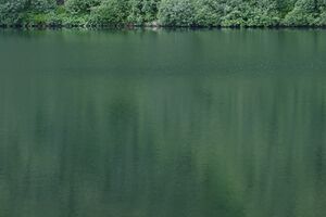 Finsterkarsee 1176 13-07-12.jpg