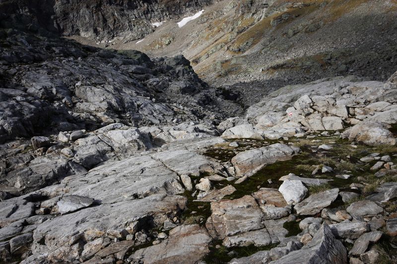 Datei:Goldlacken 0229 2013-10-08.jpg