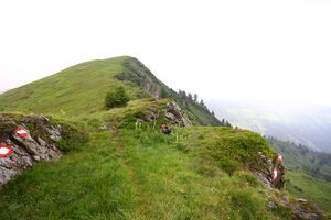 Gstemmerscharte 1261 13-07-12.jpg