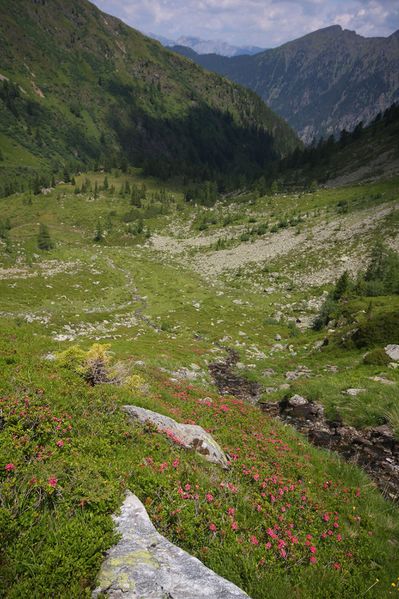 Datei:Herzmaierkar 32588 2011-07-06.jpg