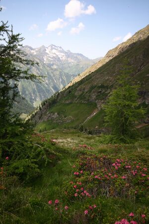 Im Hüttkar 39613 2012-06-29.jpg