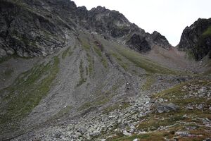 Neualmkar graunock 57435 2017-08-22.jpg