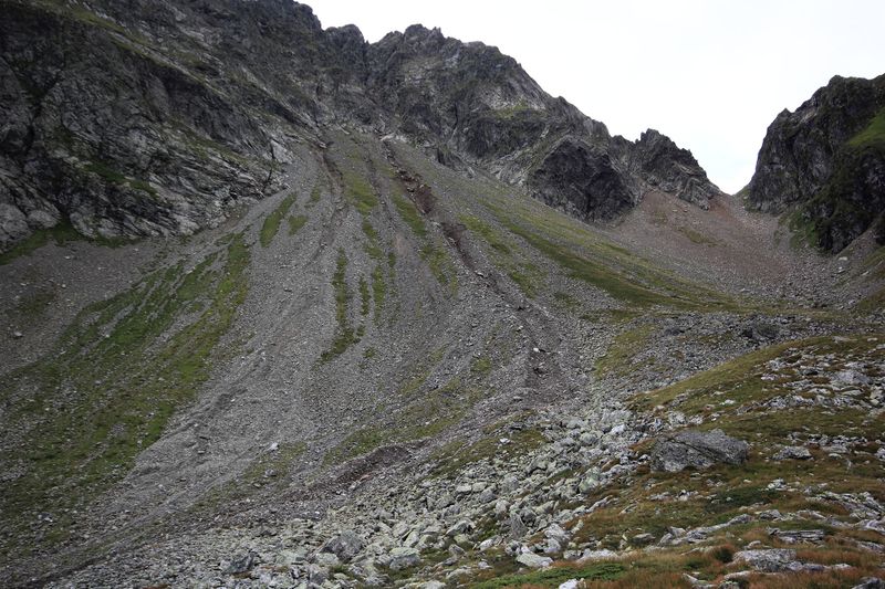 Datei:Neualmkar graunock 57435 2017-08-22.jpg