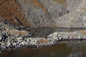 Oberer Wiegensee 75864 2014-10-18.jpg