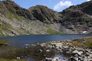 Rauhenbergsee 2887 2009-08-19.jpg