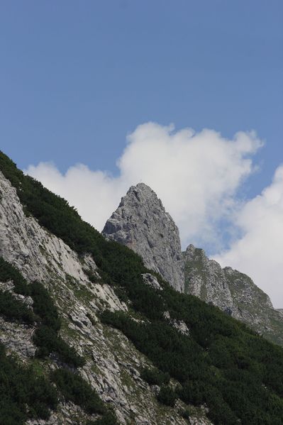 Datei:Sturzhahn tauplitzalm 51714 2017-06-24.jpg
