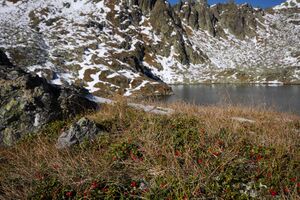 Weißensee knallstein 36422 2011-10-18.jpg