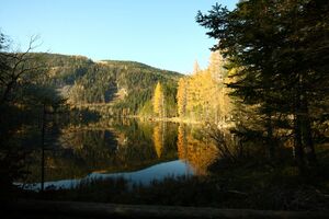 Ödensee 77950 2014-11-03.jpg