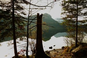 Altausseer See 78934 2014-11-15.jpg