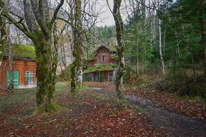 Altausseer seewiese 79751 2014-11-15.jpg