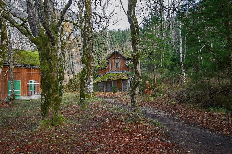 Datei:Altausseer seewiese 79751 2014-11-15.jpg