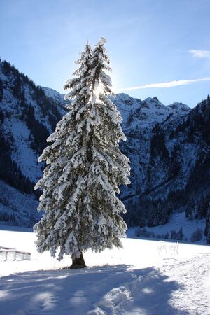 Bodensee 26641 2014-01-01.jpg