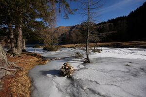 Duisitzkarsee 14361 2011-11-30.jpg