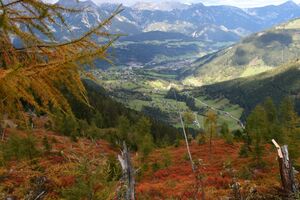 Guschen 20005 2007-09-28.jpg