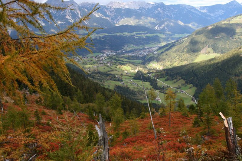 Datei:Guschen 20005 2007-09-28.jpg