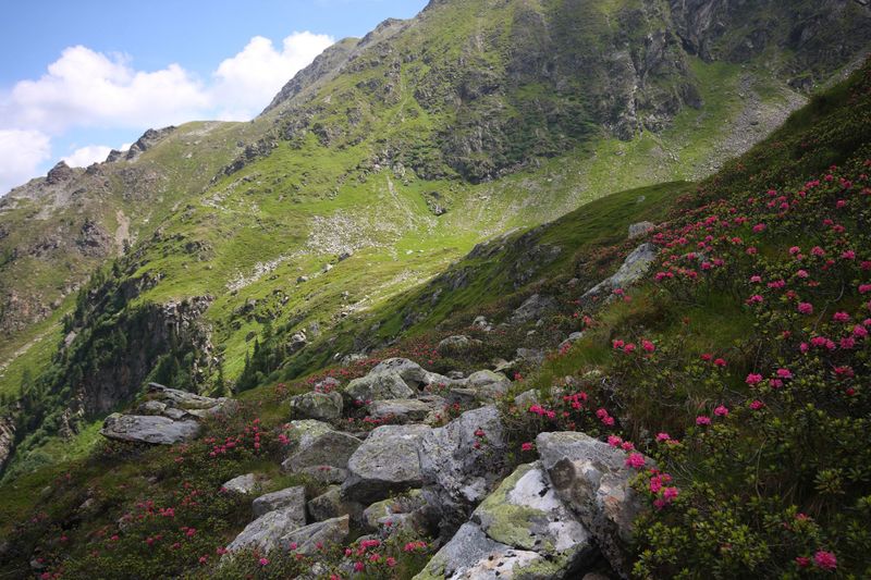 Datei:Herzmaierkar 32581 2011-07-06.jpg