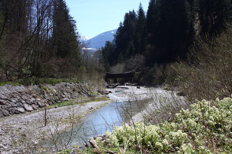 Datei:Kalte mandling032.jpg