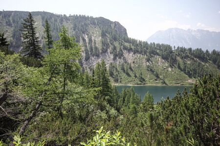 Mitterberg -steirersee 51604 2017-06-24.jpg