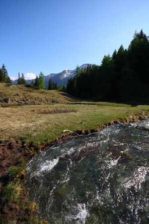 Obertalbach keinprecht 0552 2008-06-01.jpg