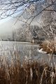 Putterersee - winter 17065 2013-12-23.jpg