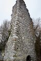 Ruine oberstainach-0049-2023-03-10.jpg