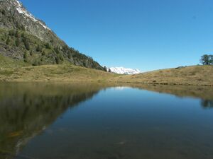 Schobersee 1376 2007-05-19.jpg