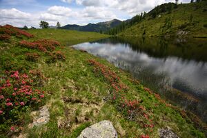 Schobersee 93224 2015-06-26.jpg