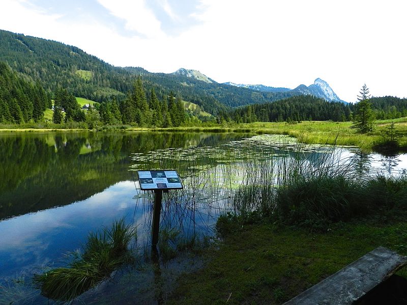 Datei:Spechtensee-Schautafel.jpg