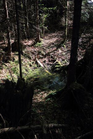 Strummern mühlreith 47211 2017-05-17.jpg