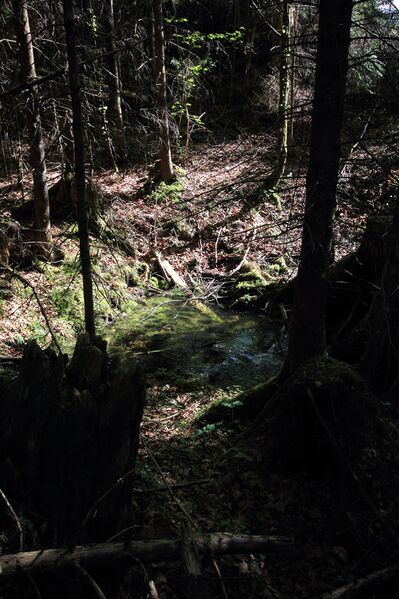 Datei:Strummern mühlreith 47211 2017-05-17.jpg