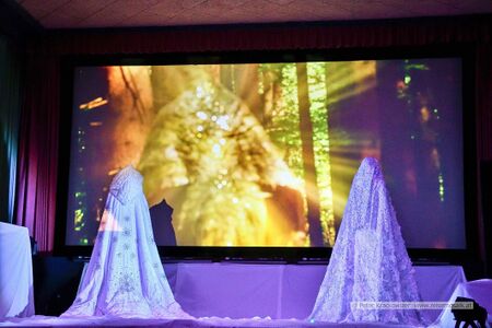 Traumwelt des Lichts - der Geist der Weihnacht 2025 11.jpg