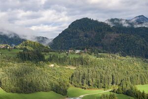 Vlg simandl bergerviertel-0154-2025-09-15.jpg