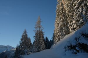 Zur ob.moseralm-preunegg 94313 2007-11-28.jpg