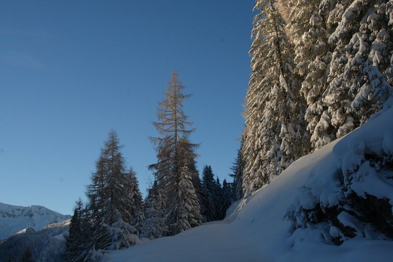 Datei:Zur ob.moseralm-preunegg 94313 2007-11-28.jpg