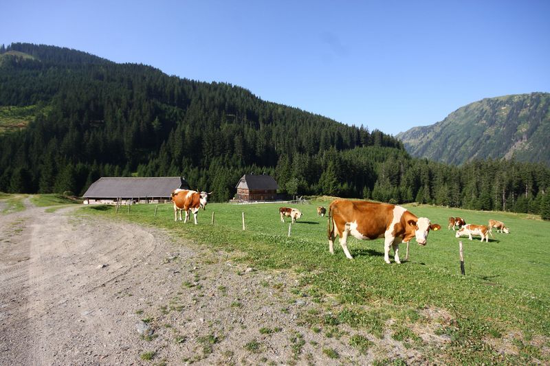 Datei:Beireutalm 1496 13-08-07.jpg