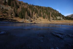 Duisitzkarsee 14324 2011-11-30.jpg