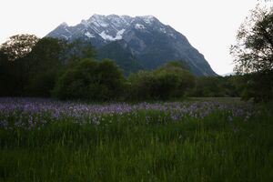 Enns-Altarme Niederstuttern 58416 2014-05-21.jpg