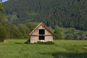 Enns-Altarme bei Niederstuttern 58793 2014-05-26.jpg