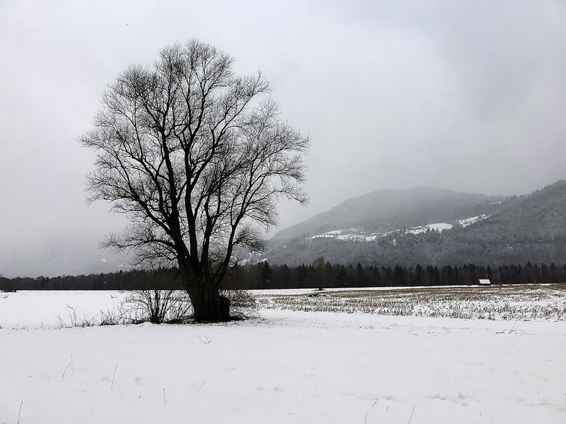 Datei:Ennsau Wörschach1010803.JPG