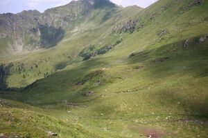 Glatt 1168 13-08-06.jpg