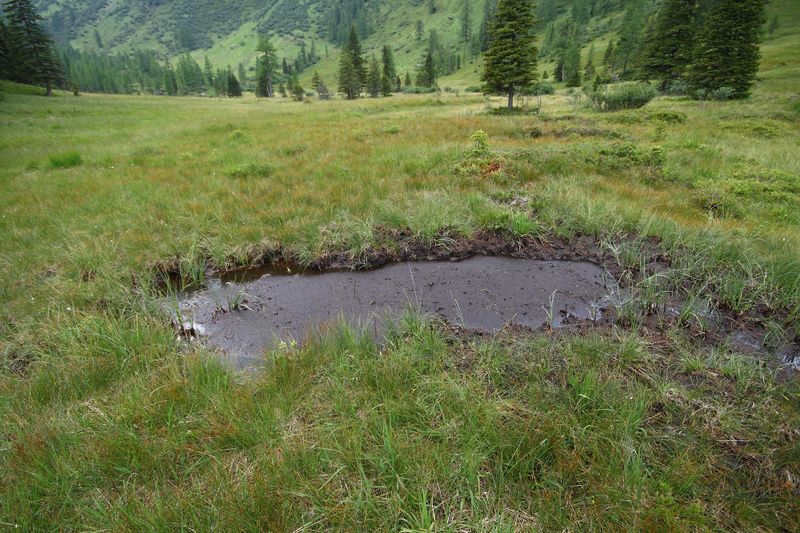 Datei:Knallkar großsölk 55655 2016-08-17.jpg