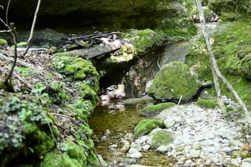 Datei:ND 356 Teichenbach Unterkainisch-0219-2025-05-01.jpg