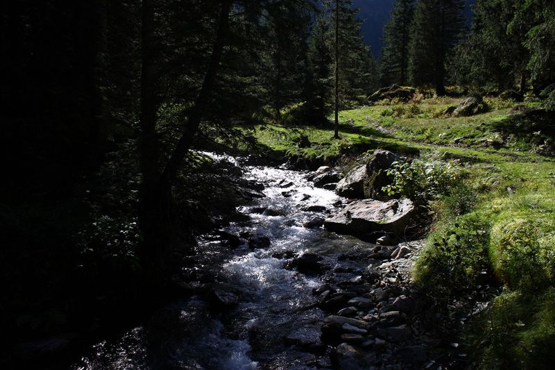 Datei:Neualmbach kleinsölk 72490 2014-09-17.jpg