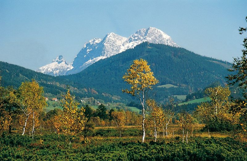 Datei:Pürgschachen Moor klein.jpg