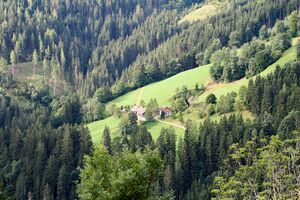 Schröck schattenberg-0229-2023-08-25.jpg